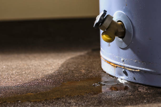Best Water damage restoration company  in Cabot, AR