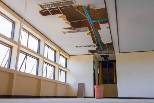 Best Carpet water damage restoration  in Cabot, AR