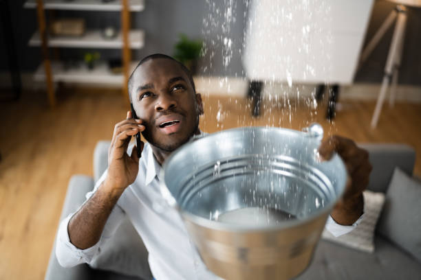 Best Water damage contractors near me  in Cabot, AR