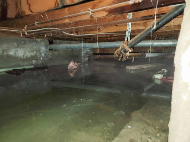 Best Local water damage restoration  in Cabot, AR