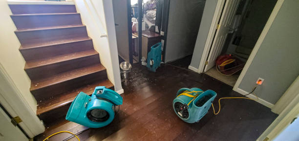 Best Ceiling water damage repair  in Cabot, AR