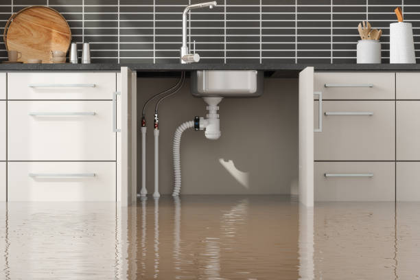 Best Water damage mitigation services  in Cabot, AR